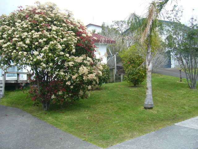 14b Jean Place Stanmore Bay_1