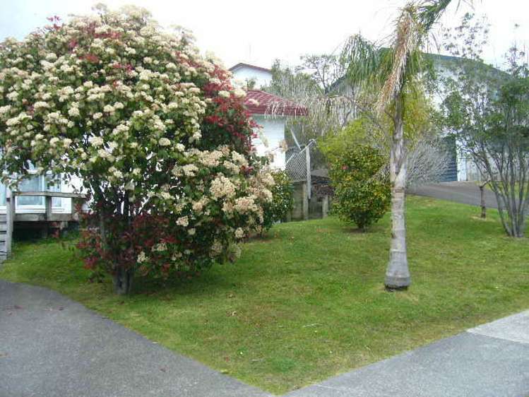 14b Jean Place Stanmore Bay_1