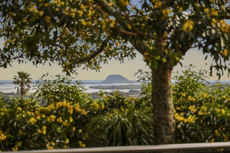 20 Dawn View Place Te Puna_24