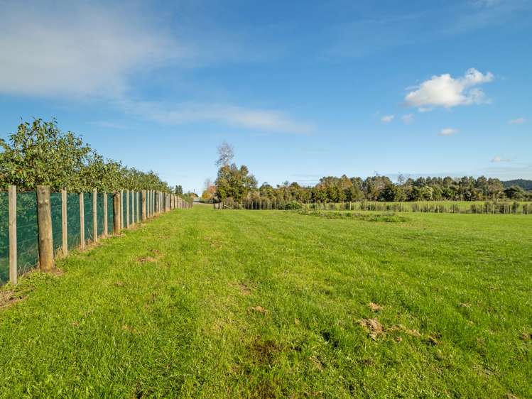 30 Sunnyside Road Sunnyvale_7