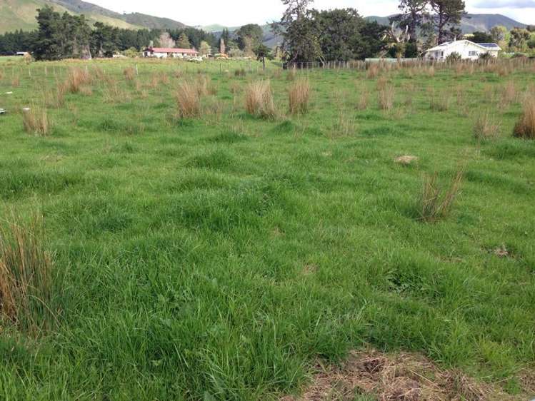 12 Highland View Drive_0