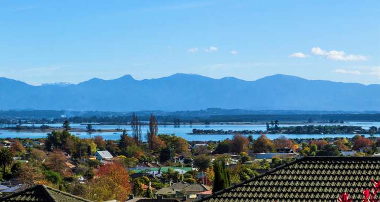 24 Somerset Terrace Stoke_0