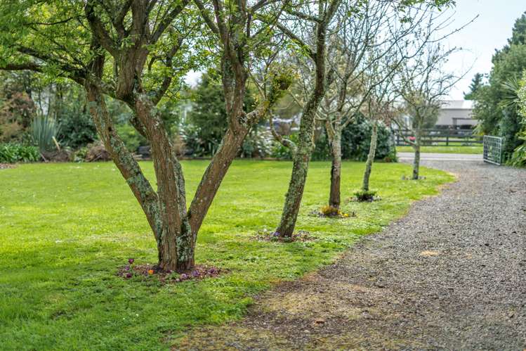 49 Charles Street Carterton_20