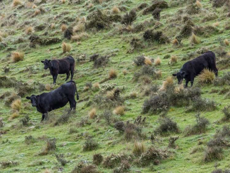 2081 Virginia Road Virginia_11