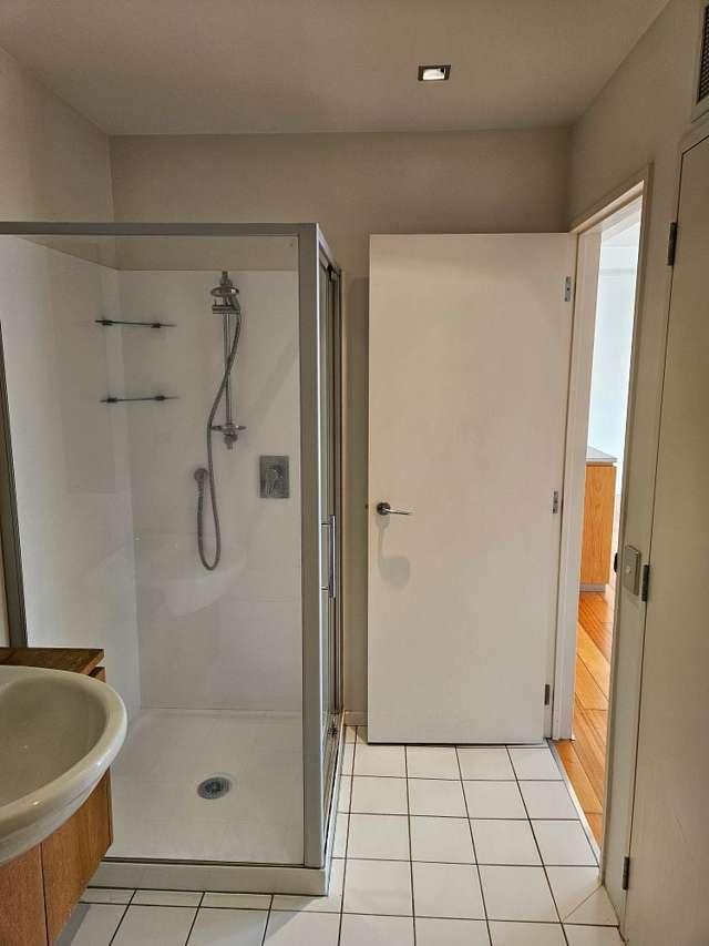210/10 Ronayne Street Auckland Central_3