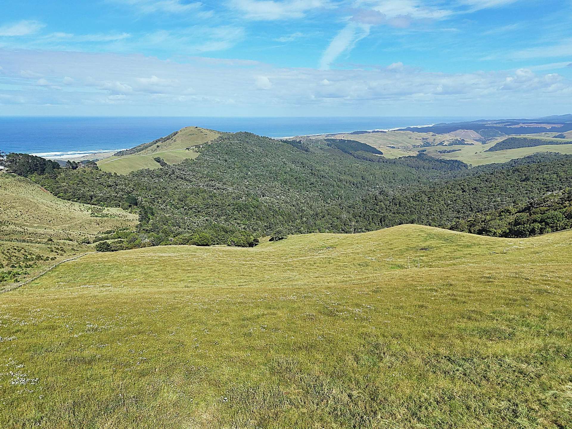 Cnr Hood Rd and SH12 Dargaville Surrounds_0
