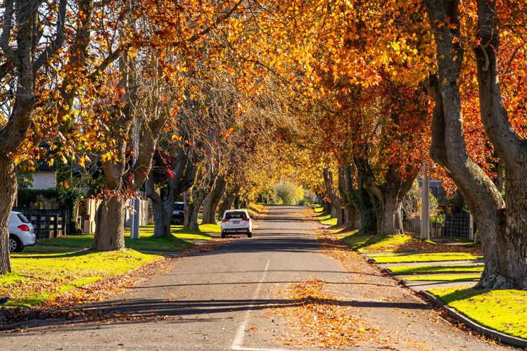 26e Wylie Street Glenholme_31