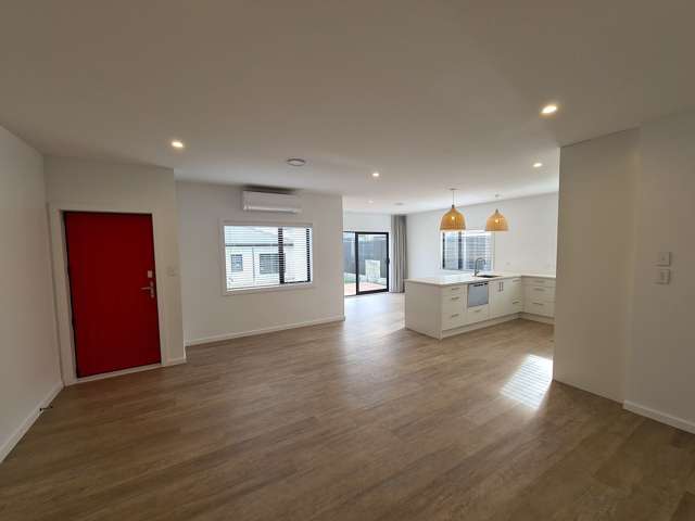 156B Te Awa Avenue Awatoto_1