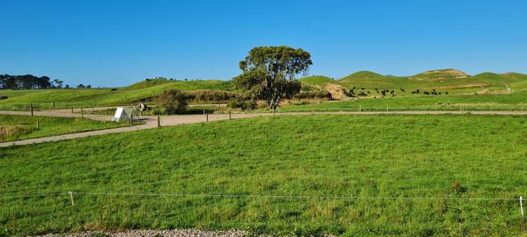 331 Warea Road Warea_15