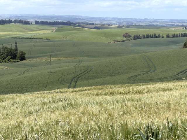 264 Dumfries Road Clinton and Surrounds_3