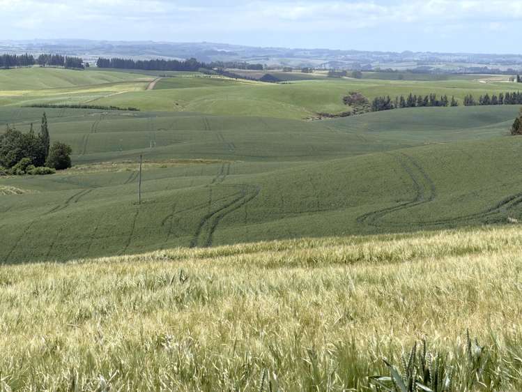 264 Dumfries Road, Taumata Clinton_6