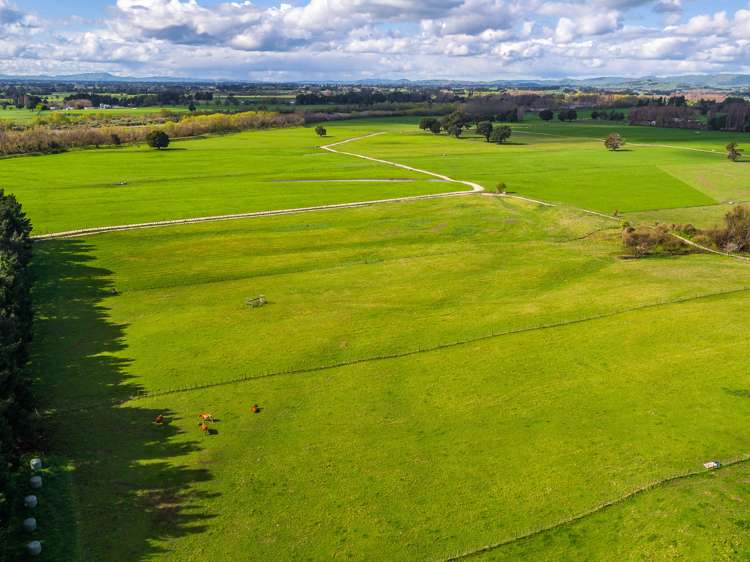 73 Udy Street Greytown_31