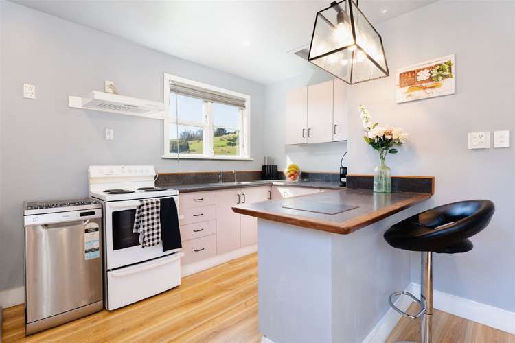 26 Edinburgh Street Green Island_4