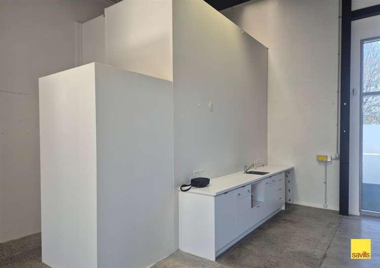 241 Brougham Street Sydenham_6