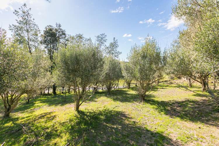 21 Eagle Street Waipawa_20