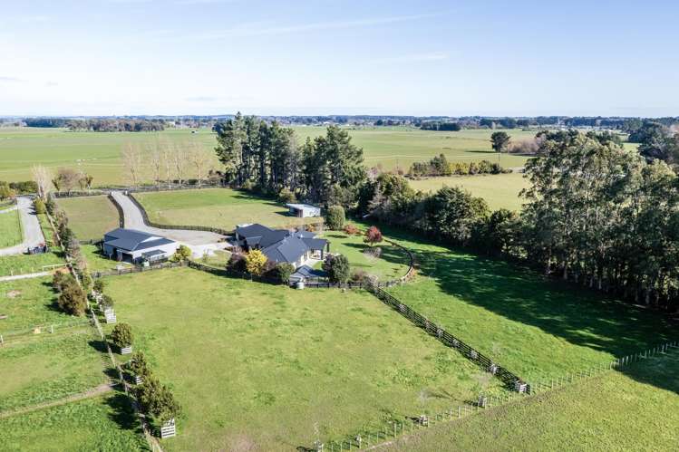 255 Calico Line Marton_48