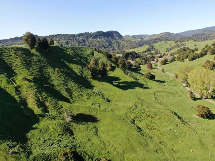 433 Pungapunga Valley Road Taumarunui_11