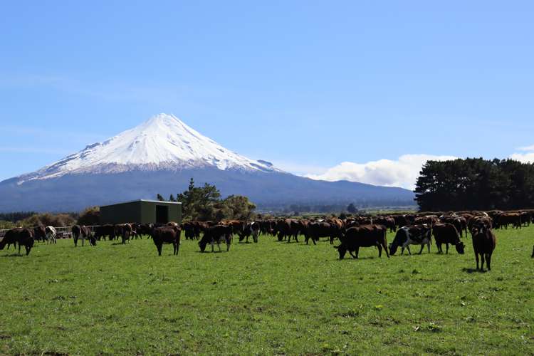 1430 Eltham Road Kaponga_3