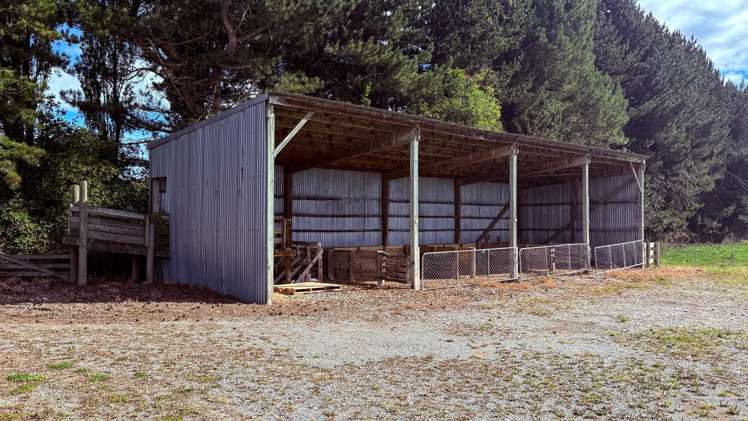 461 Chewings Road Mossburn_19