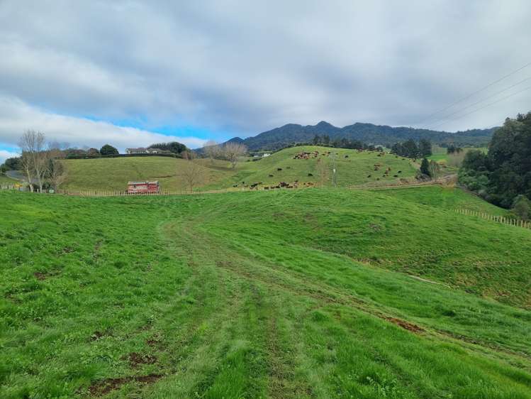 474 O'Shea Road Pirongia_3