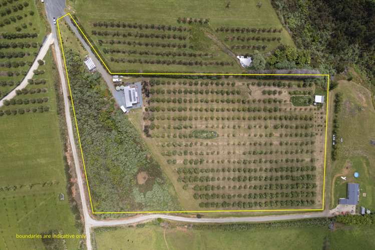 87 Leccino Valley Road Mangonui_25