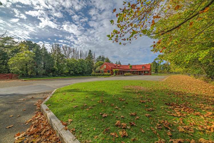 4A Cloverlea Road Kairanga_8