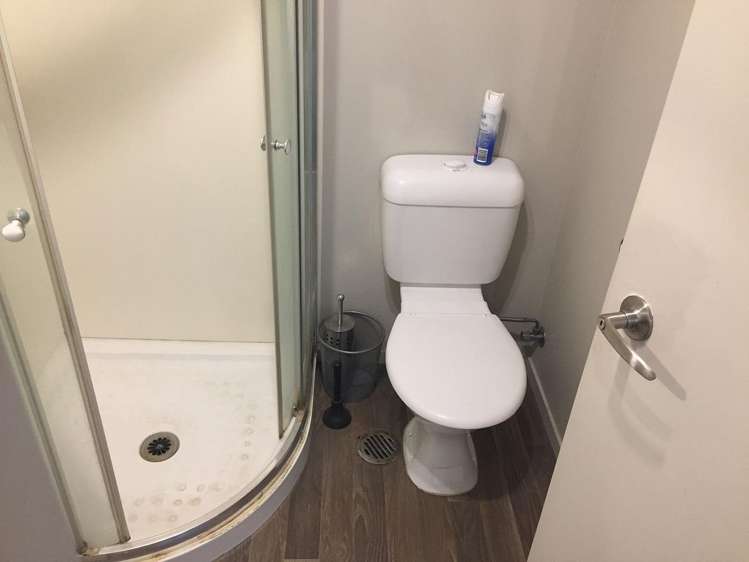 60C Willoughby Street Whitiora_5