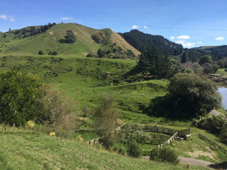 547 Papaiti Road Papaiti_10