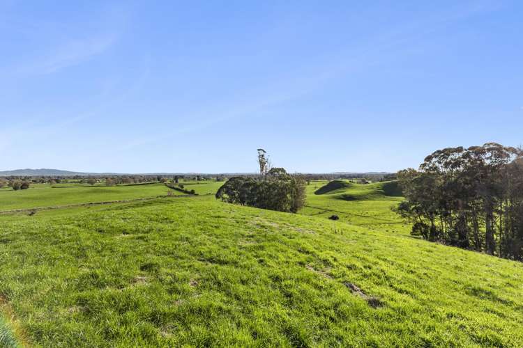 118 Beer Road Tauwhare_4