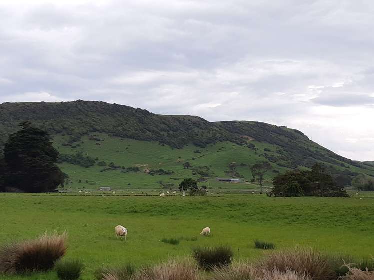 753 Papatowai Highway Owaka_6