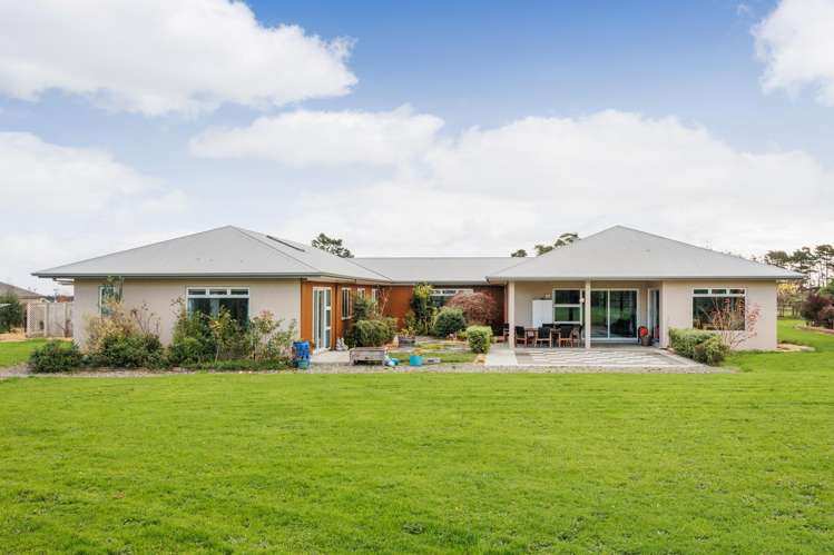 554 Taonui Road Colyton_30