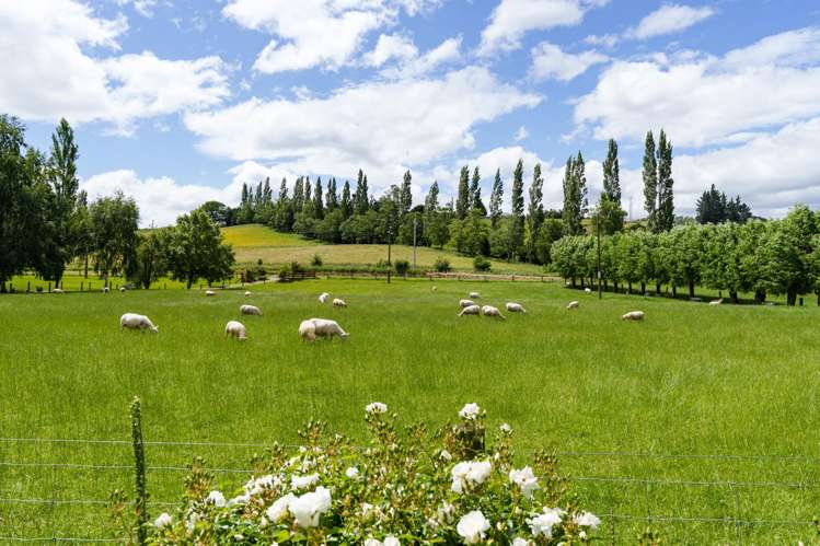 280 Wairongoa Road North Taieri_32