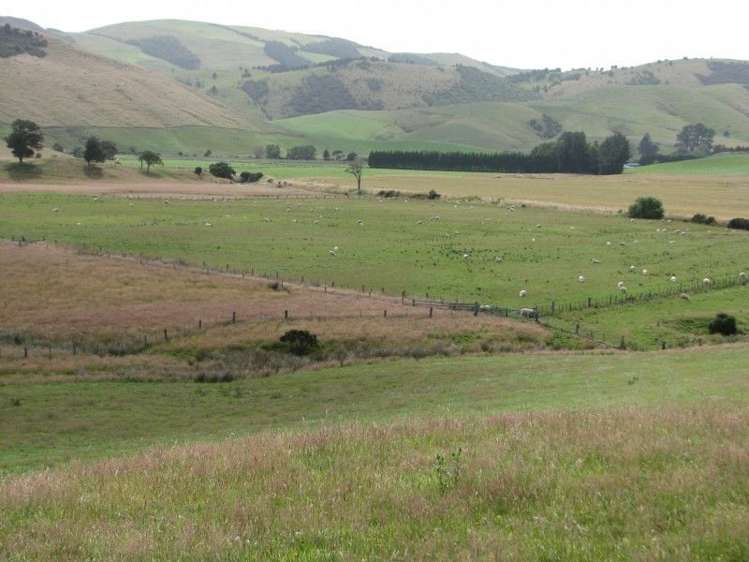 544 Owaka Valley Road Catlins Surrounds_3