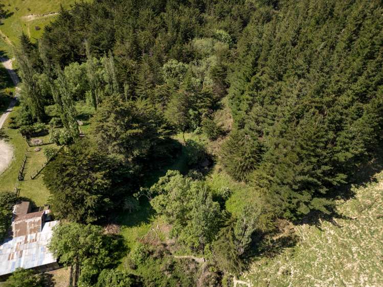 240 Sladdens Bush Road Coopers Creek_15