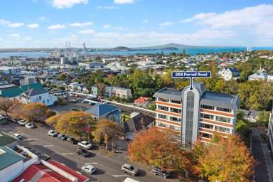 51, 53, 5/258 Parnell Road_4