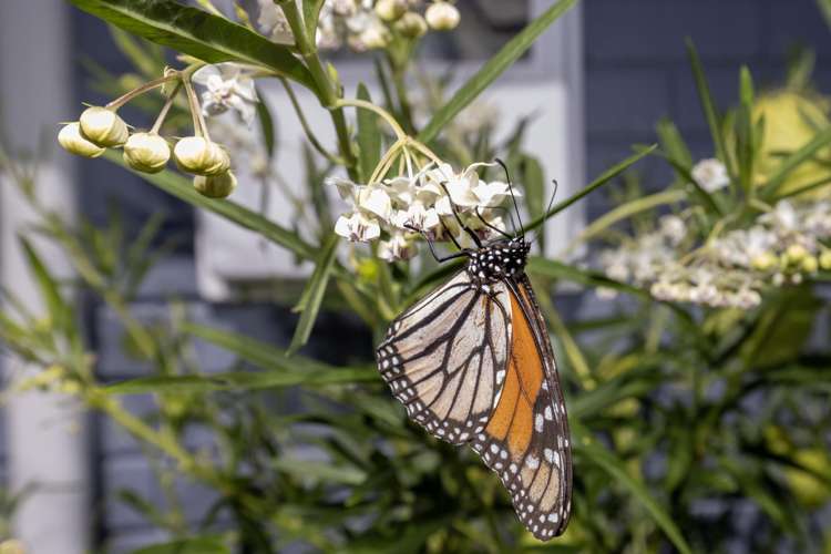 2 Kanawa Street Waikanae_27