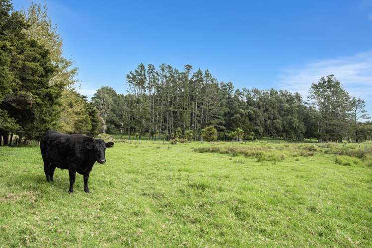 27 Hodge Road Ruatangata West_15