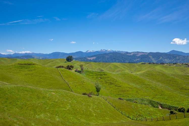 600 Neudorf Road Upper Moutere_39