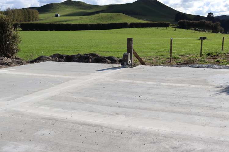 Before 775 Bird Road Pukengahu_7