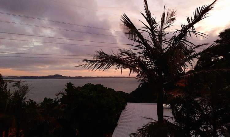 9a Hoskins Avenue Hillsborough_7