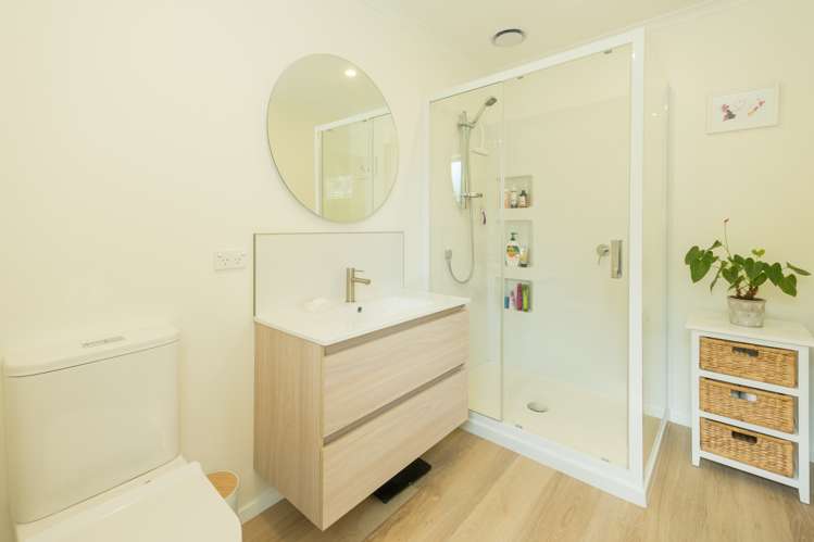 50a Havelock Street Renwick_13