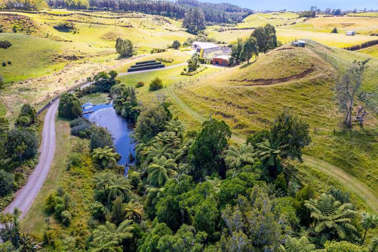 77c Dorset Road Hillsborough_32