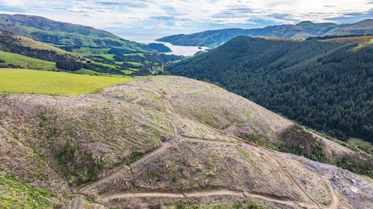 1301 Western Valley Road Port Levy_12