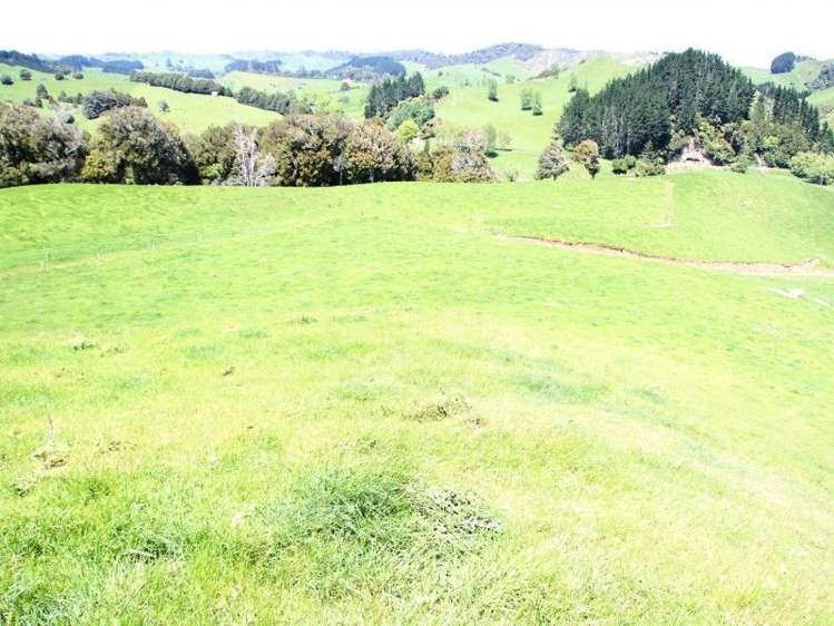 Otaraoa Road Tarata_17