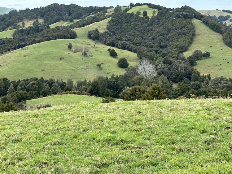 Bently Road Ruawai_0