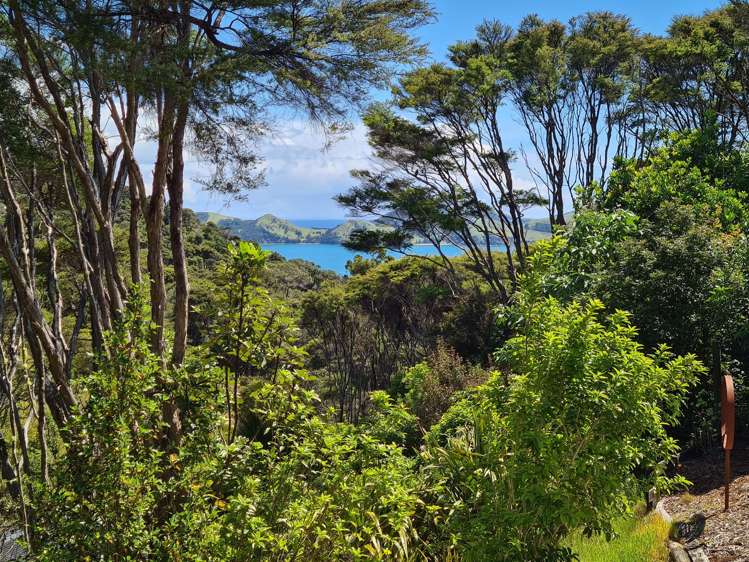 96 Kowhai Drive_2