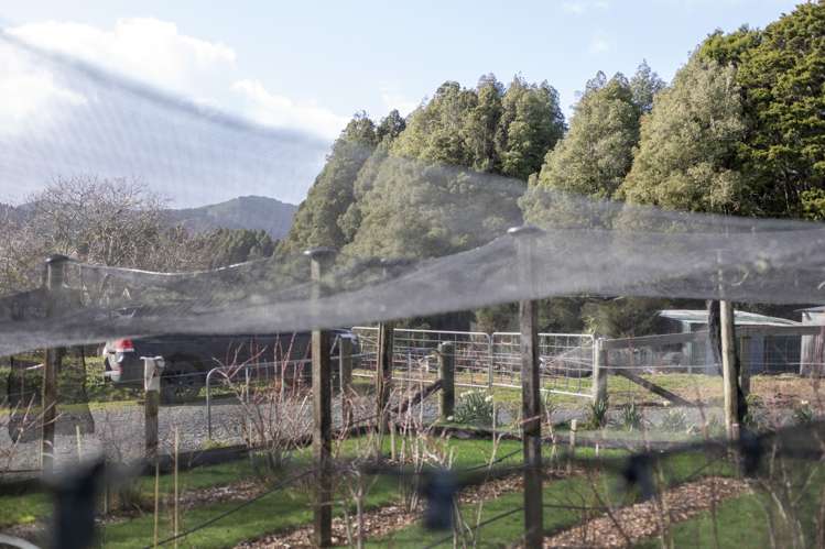 49b Mangakino Road Raglan_12