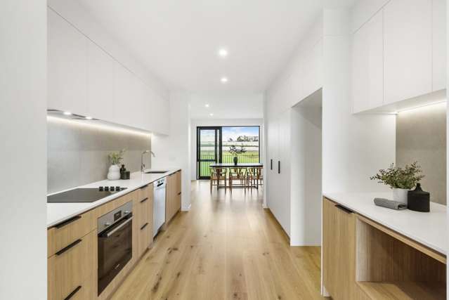 59 Riukiuta Avenue Three Kings_4