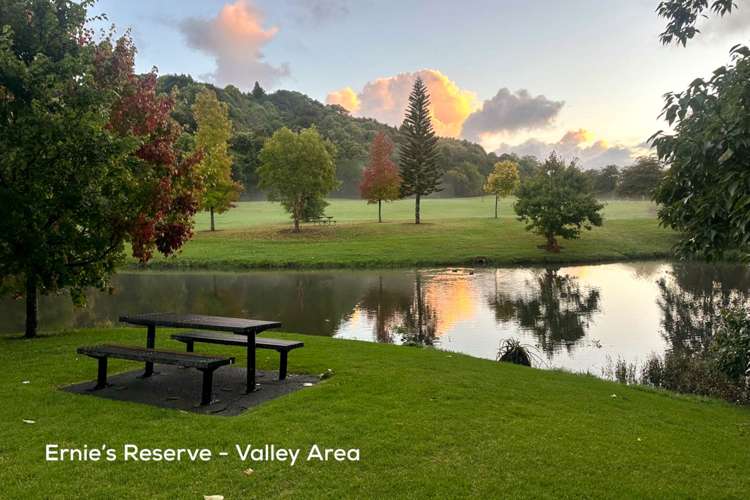 26 Avonbrook Lane Pukekohe_11