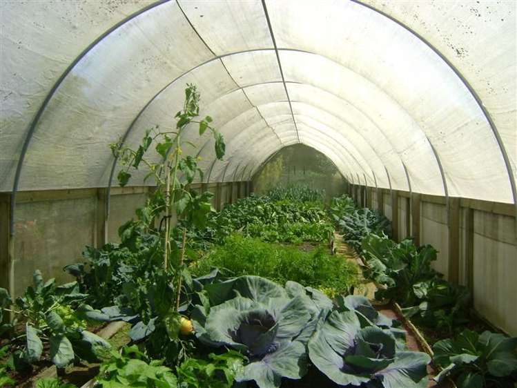 16 Hollands Road Tinwald_5